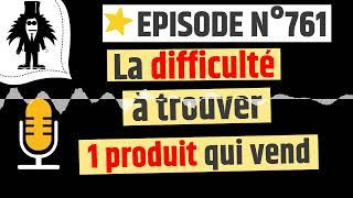 La difficulté à trouver un produit qui vend - web2fou.fr - Podcast  761