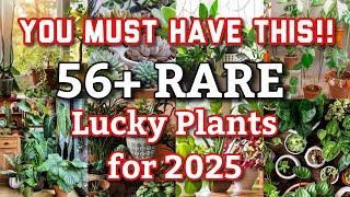 56 RARE Lucky plants for home and workplace in 2025 | Lucky Plants for health, wealth & prosperity