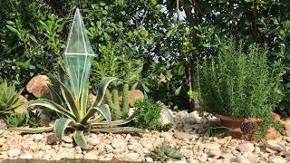 Prismas d'Água | Water Prism | Feng Shui | www.prismas.pt