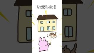 【引越し当日に猫が逃げた！】ある作戦で帰ってきました????✨