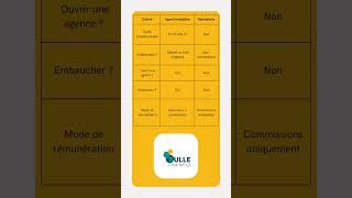 Agent immobilier vs Mandataire