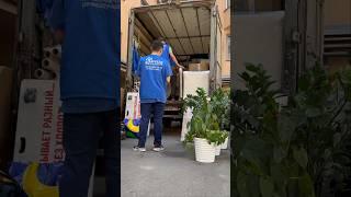 Муверы - специалисты по переезду