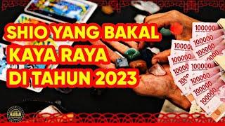 SHIO YANG BAKAL KAYA RAYA DI TAHUN 2023