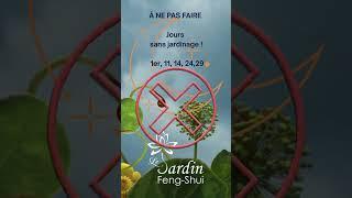 Feng Shui