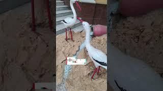 Insta vs Realty#reels#repost#top#trend#reels#r #photo #photography #foto #repost #video #reels