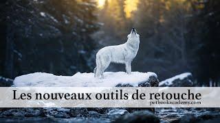 ✧ TUTORIEL ✧ Maitriser les OUTILS DE RETOUCHE LightRoom et CameraRaw