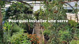 Une serre: Pourquoi? Quel type?