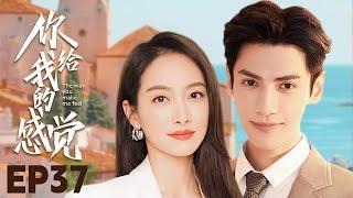 MUTLISUB【你给我的感觉/The Love You Give Me】▶EP 37????女科学家宋茜爱上帅气掮客罗云熙????两人从相知到相爱????一起携手完成人生梦想#罗云熙《长月烬明》#宋