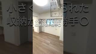 東京駅や銀座へにアクセスしやすい新富町より、ペットと住めちゃうきれいな１LDKをご紹介✨#賃貸 #賃貸マンション #賃貸物件 #ルームツアー