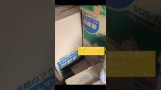 ネコ物語（131日目）。引越し荷物と間違えないでね。ベンガルのティグです。